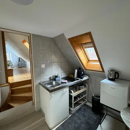 شقة Haus Zum Ruetli تشر