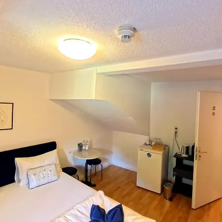 Haus Zum Ruetli Ostello Coira