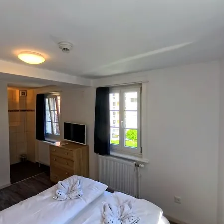 Haus Zum Ruetli * Coira