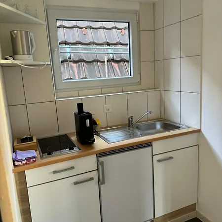 شقة Haus Zum Ruetli تشر